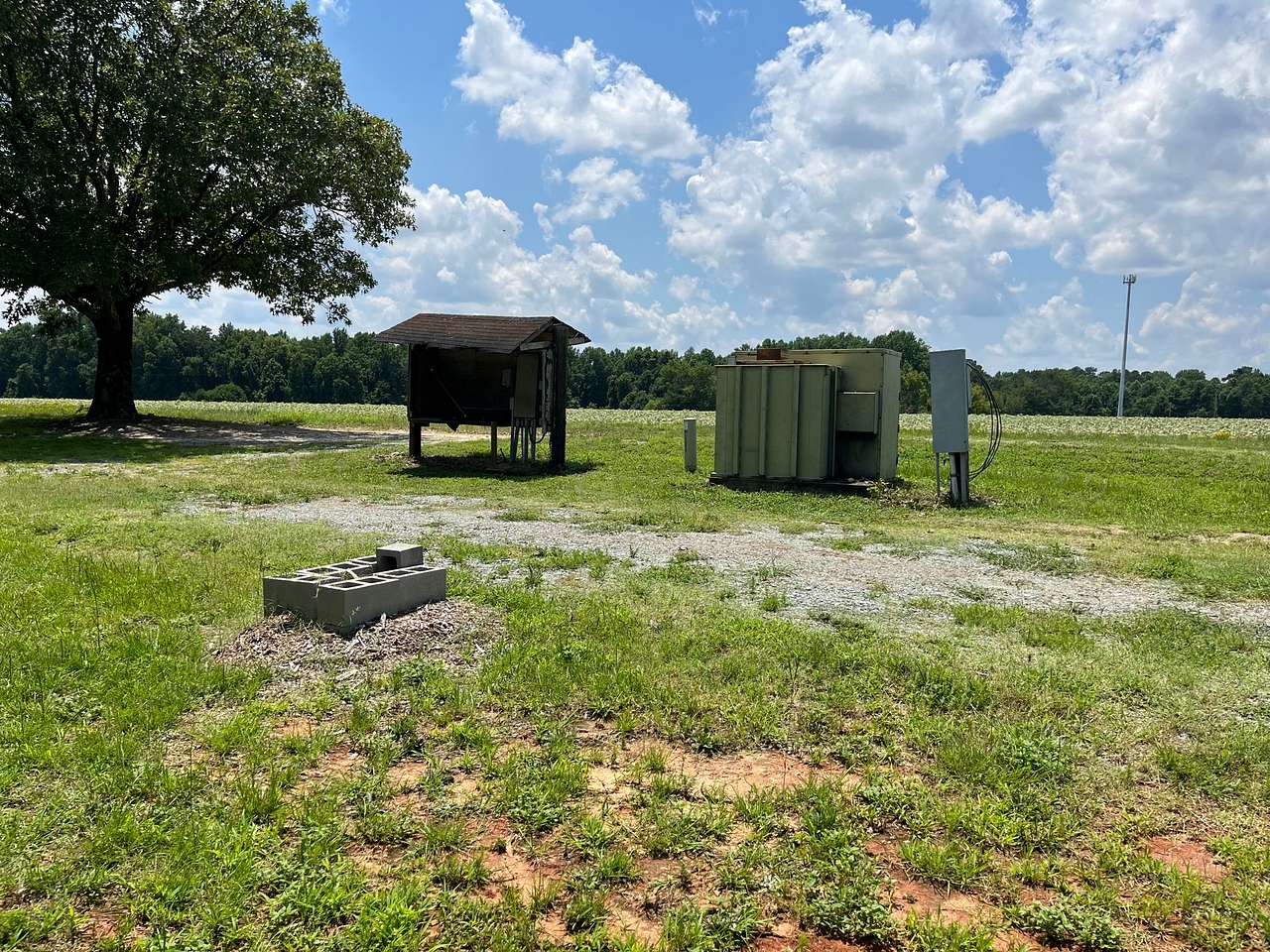 Healing Green Farms