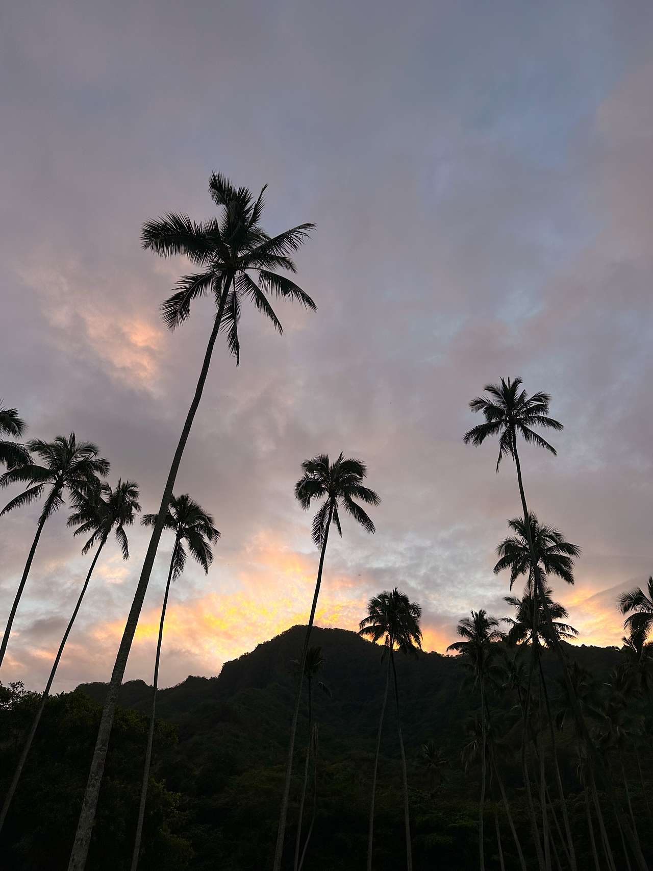 Oceanview Farm