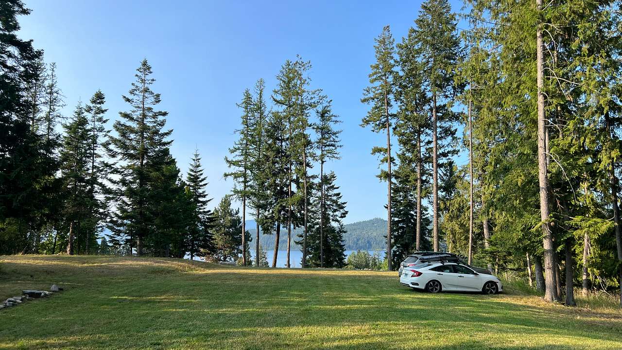 Lakeview Majesty