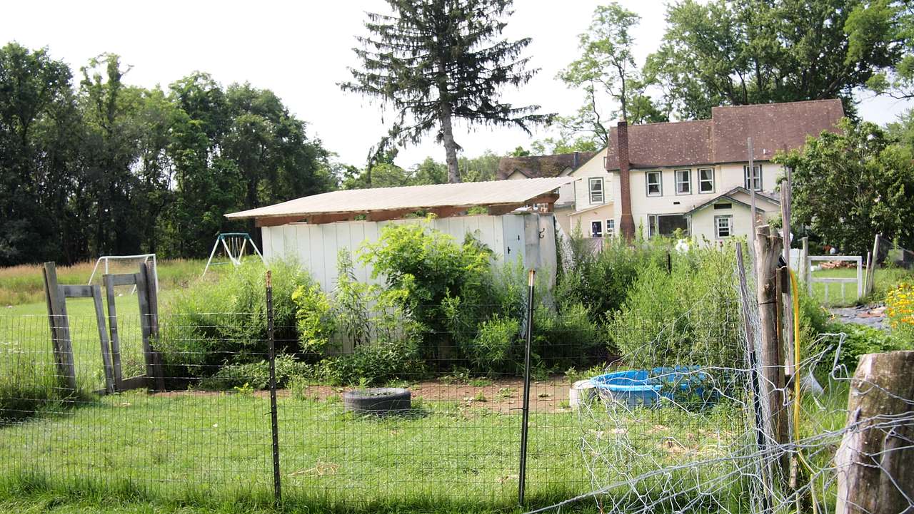 Little Duck Farm