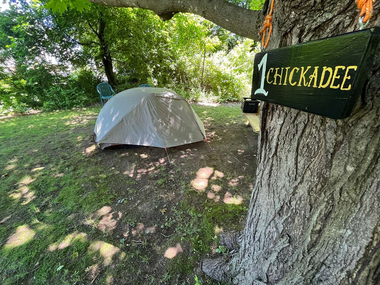 Campsites at CoHo: Conway Hostel