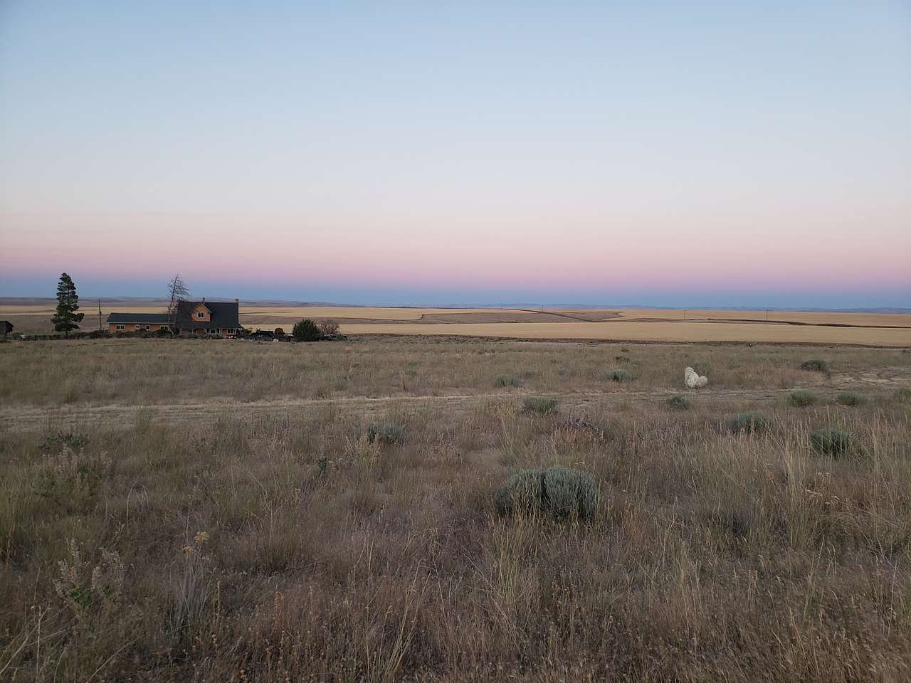 Horseshoe House Ranch