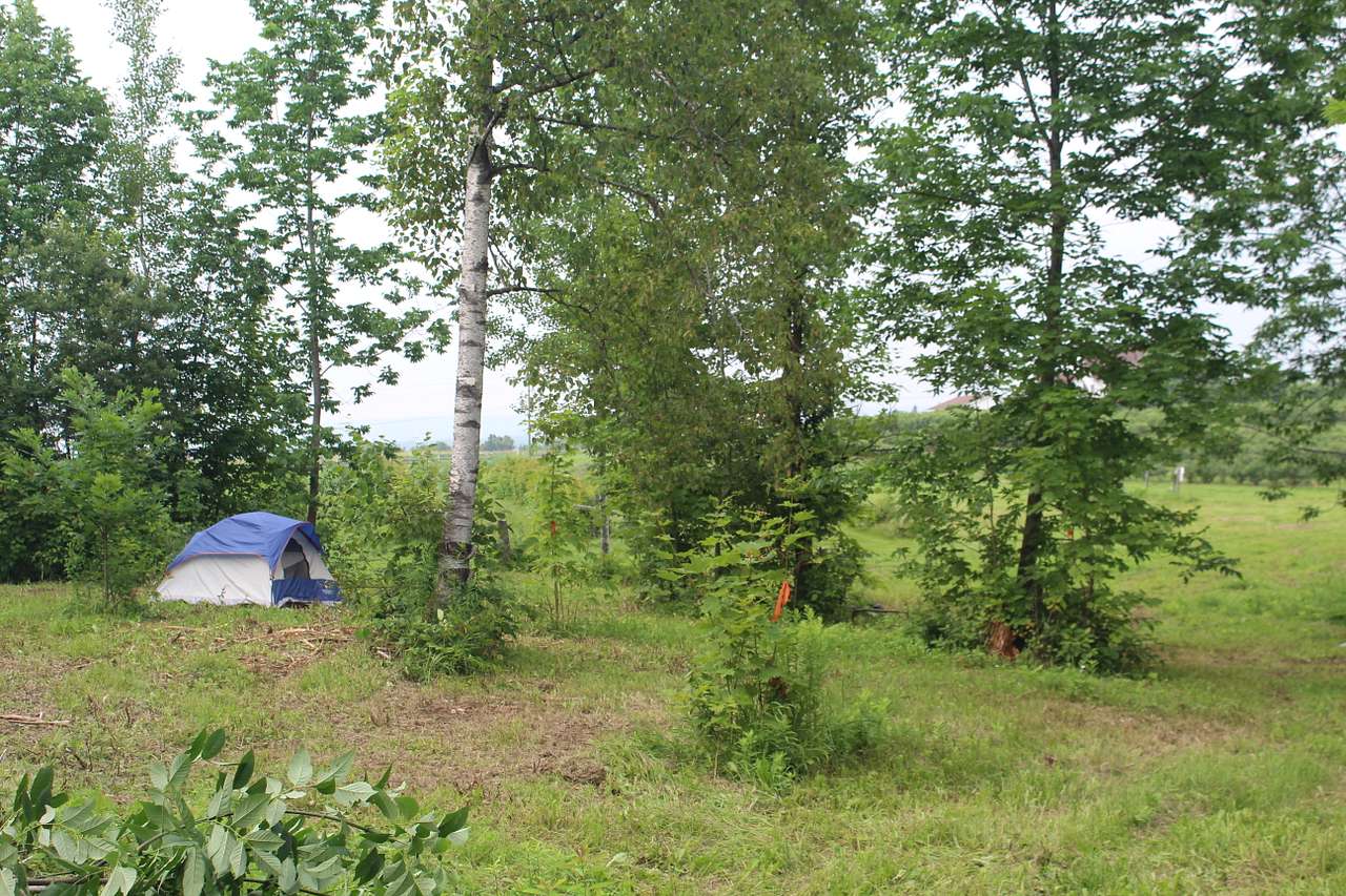 Sunnyside Family Farm Camping