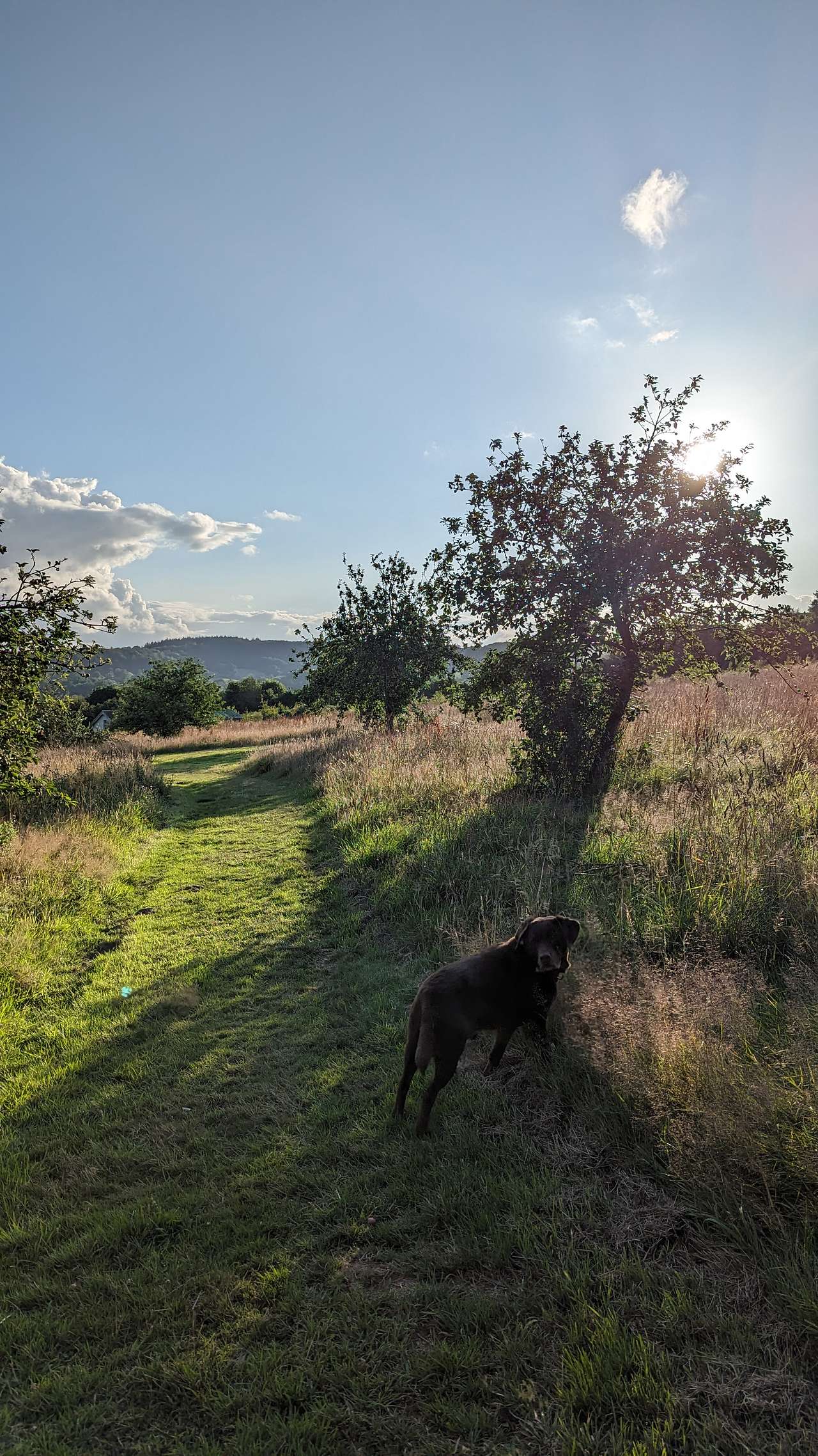 Brig's Farm
