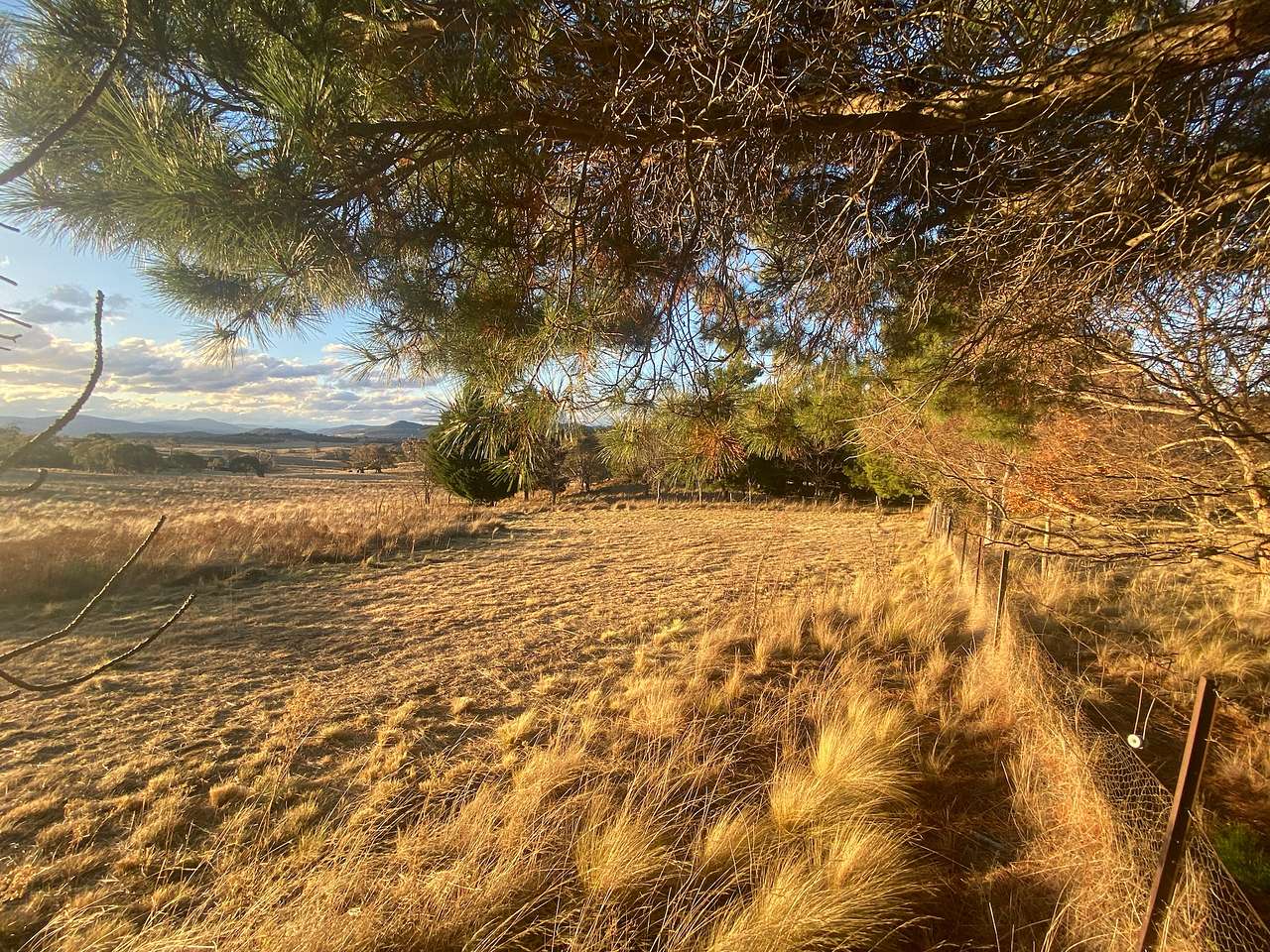 Harros Hill, Jindabyne