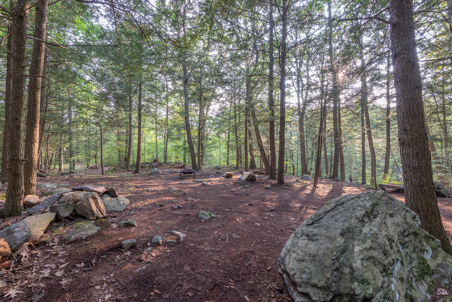 Site 8.