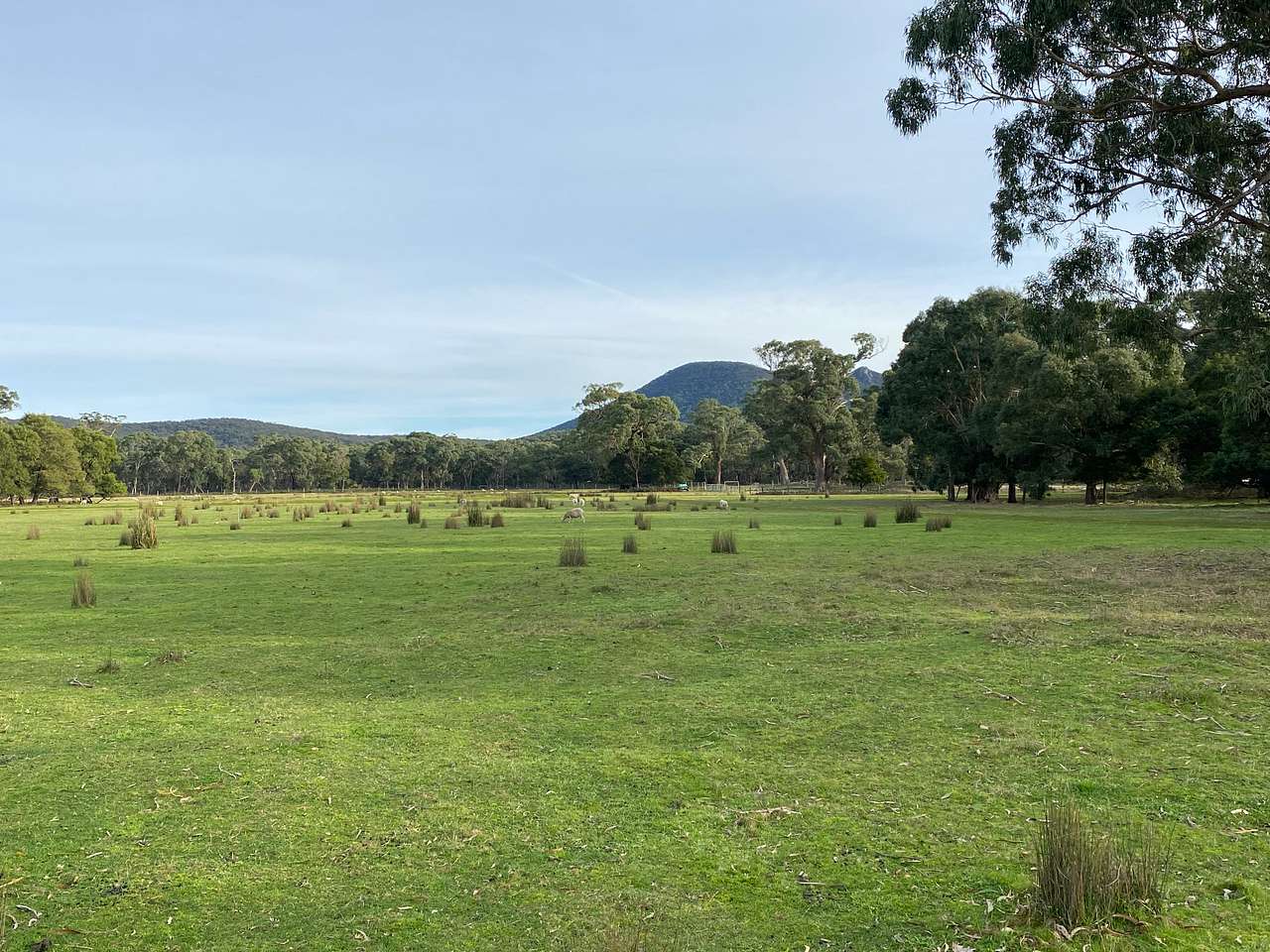 Wannon River Farm