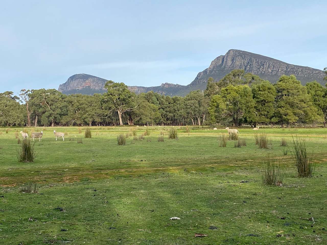 Wannon River Farm