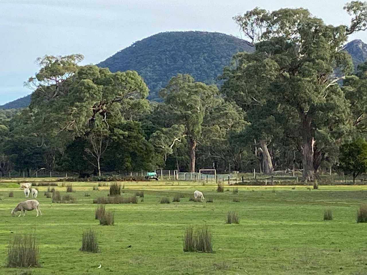 Wannon River Farm