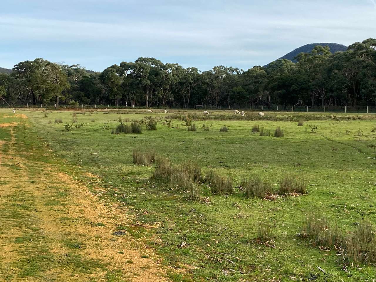 Wannon River Farm