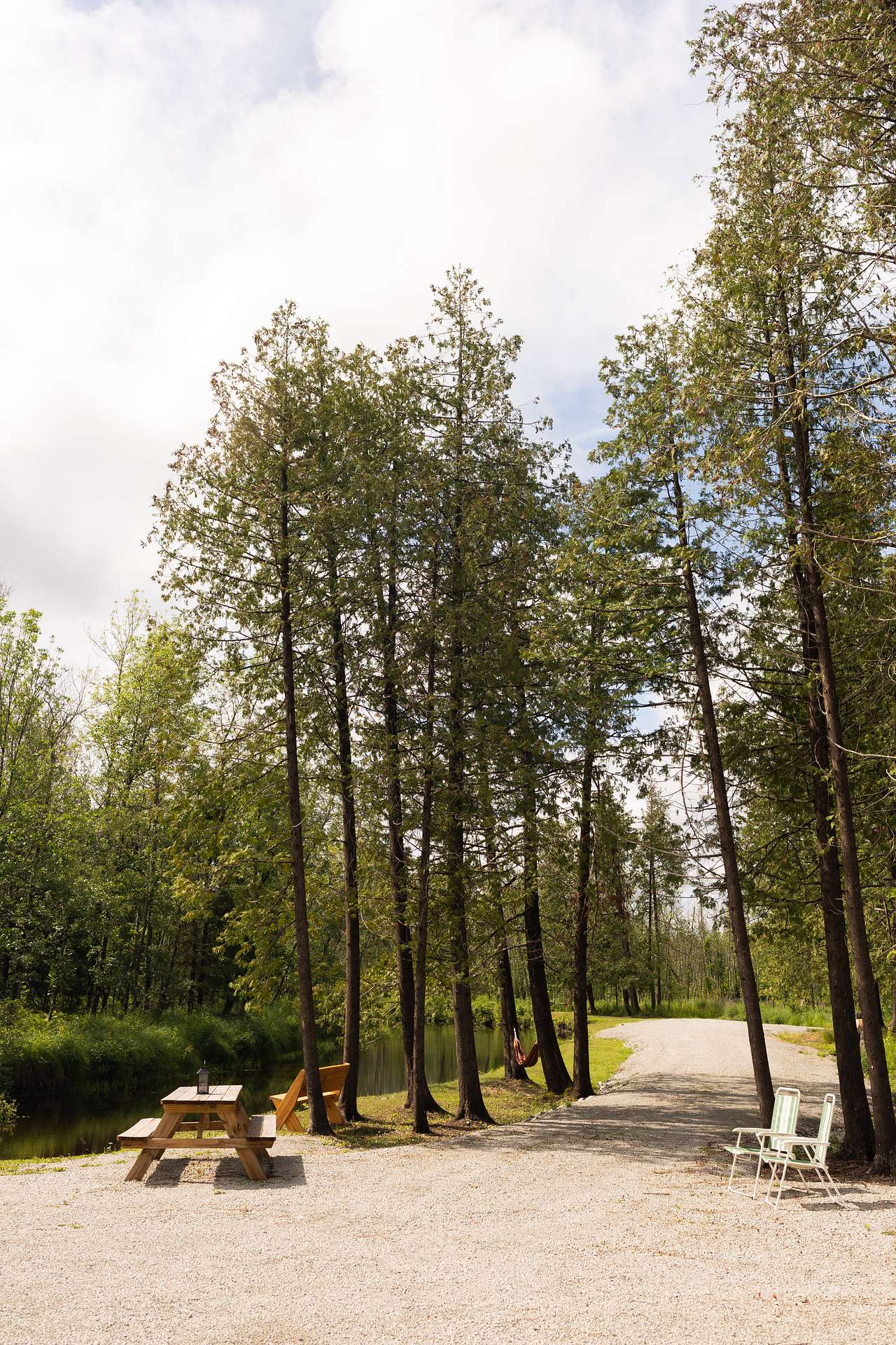 Site overview. Benches, chairs, picnic tables, hammock provided by host