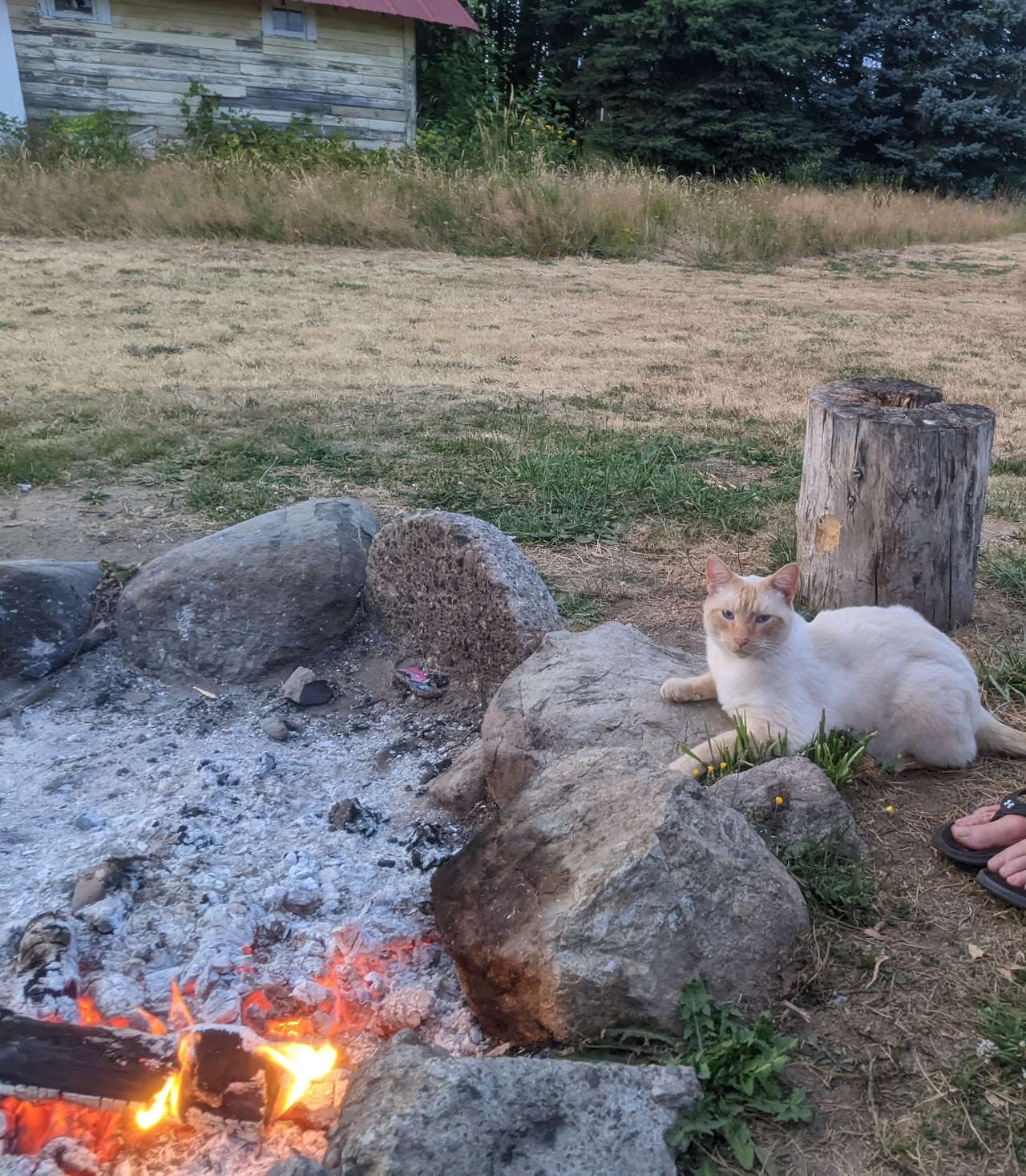 Bode Farms