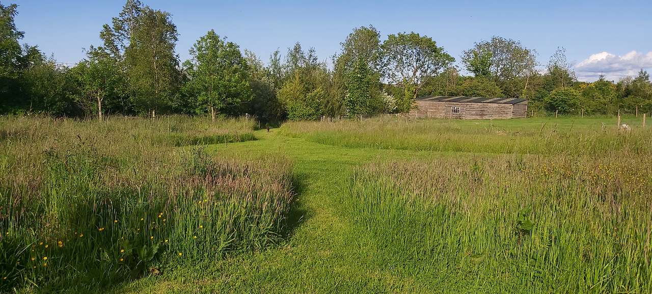 Ffynnonwen Off-Grid Camping