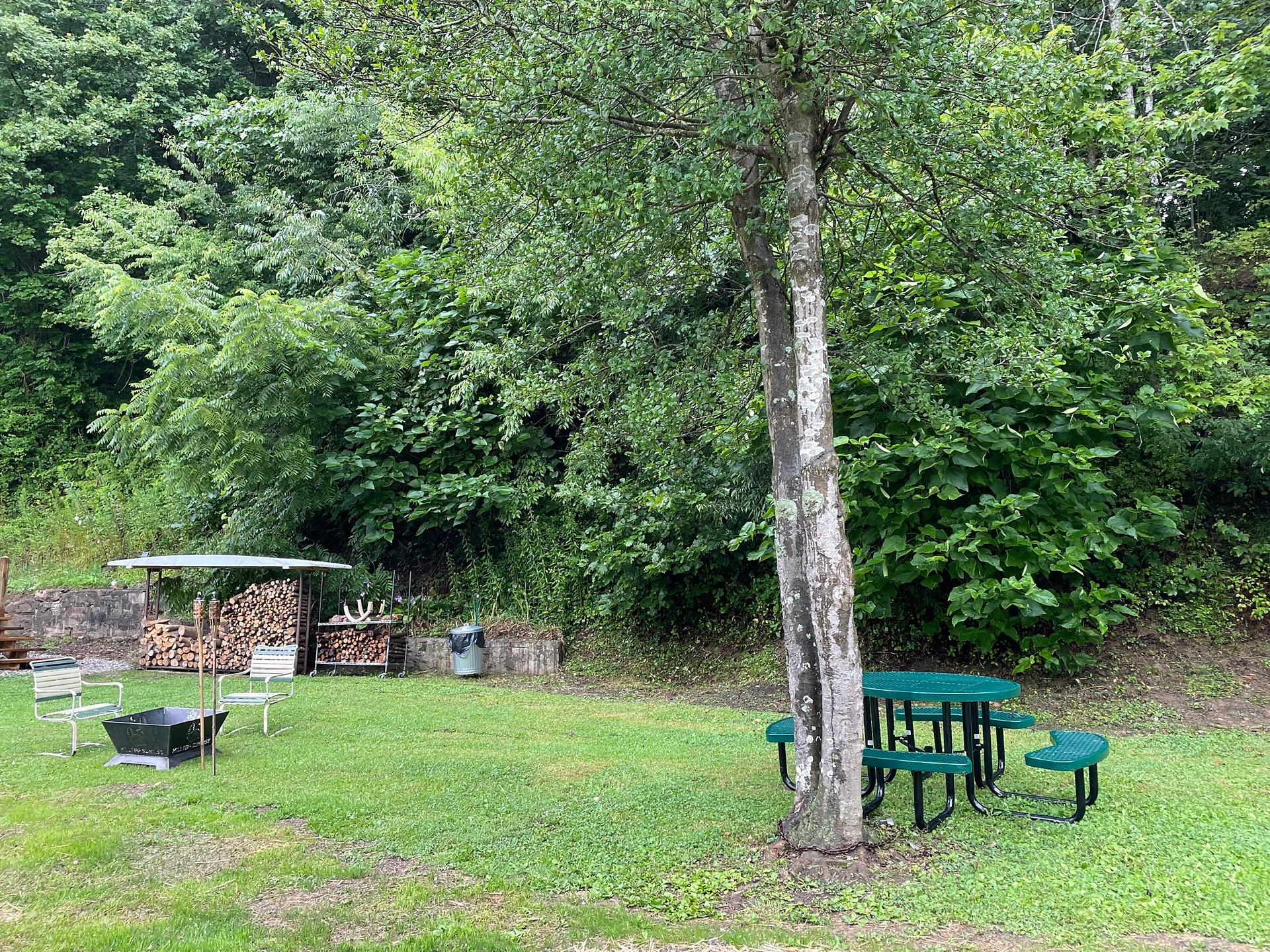Comfortable grassy courtyard with picnic table and fire pit