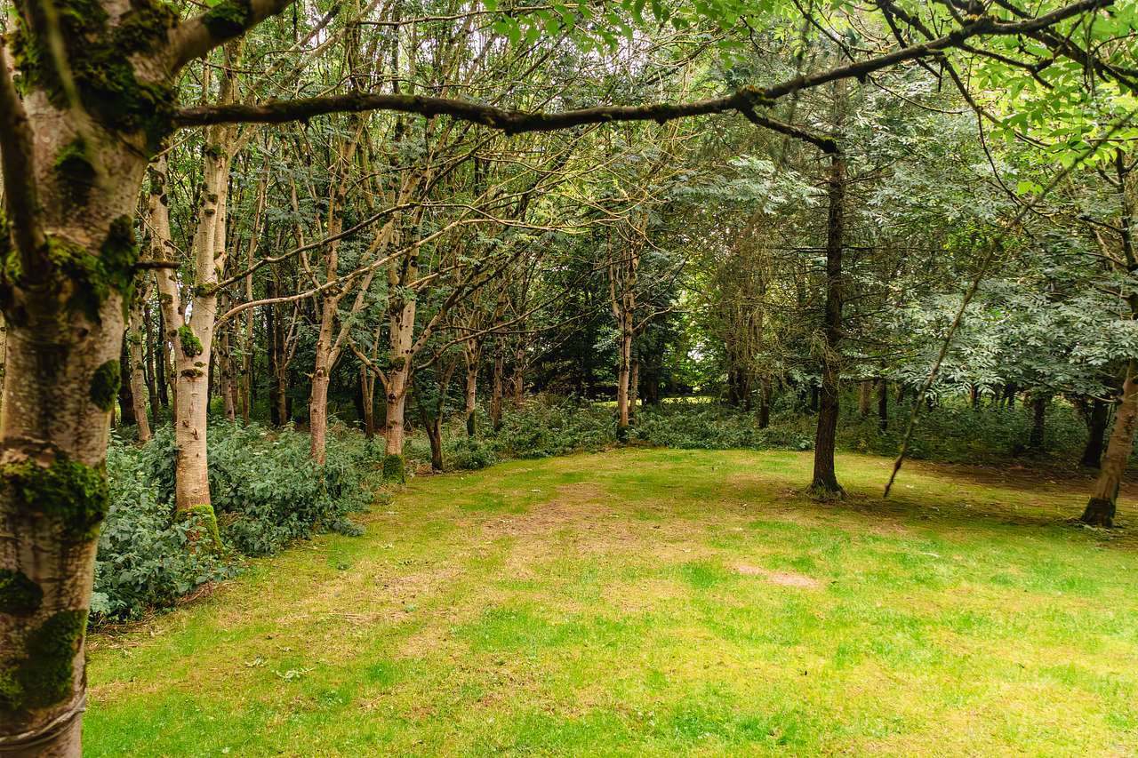 Tent pitch area, very well maintained