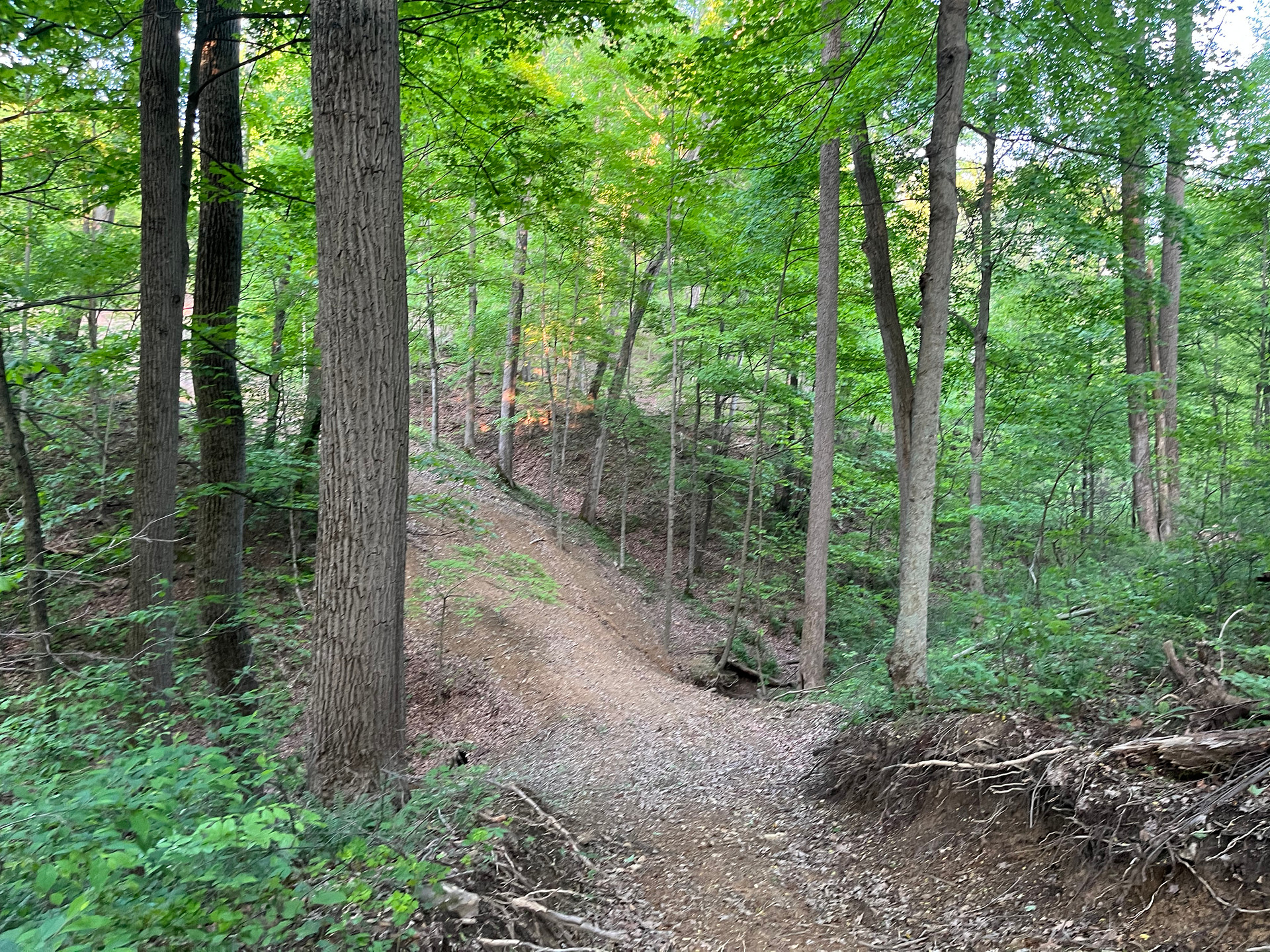 Seasonal creek crossing on the hiking trail