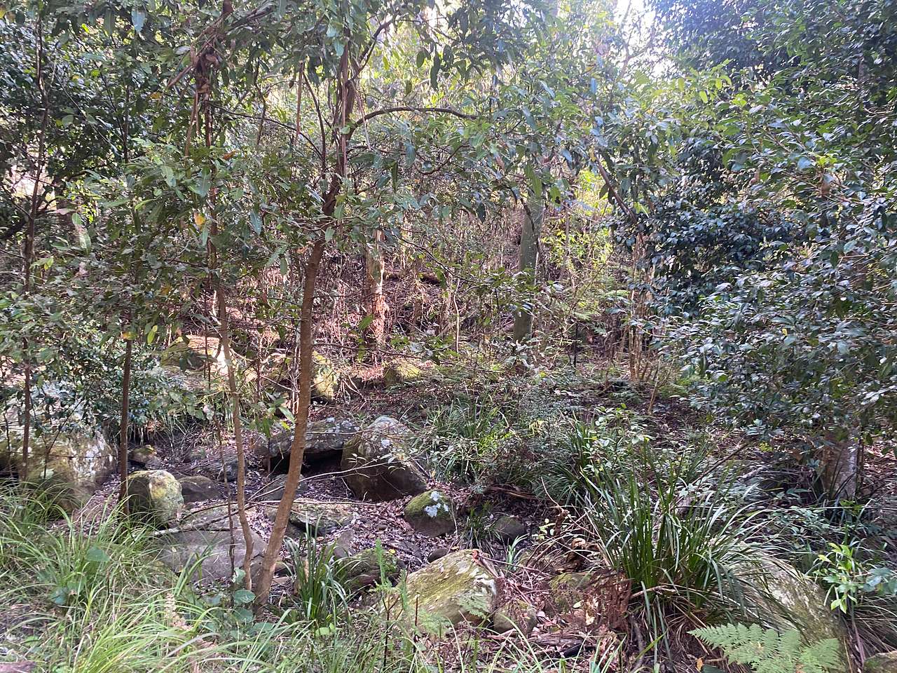 Congewai Valley Estate