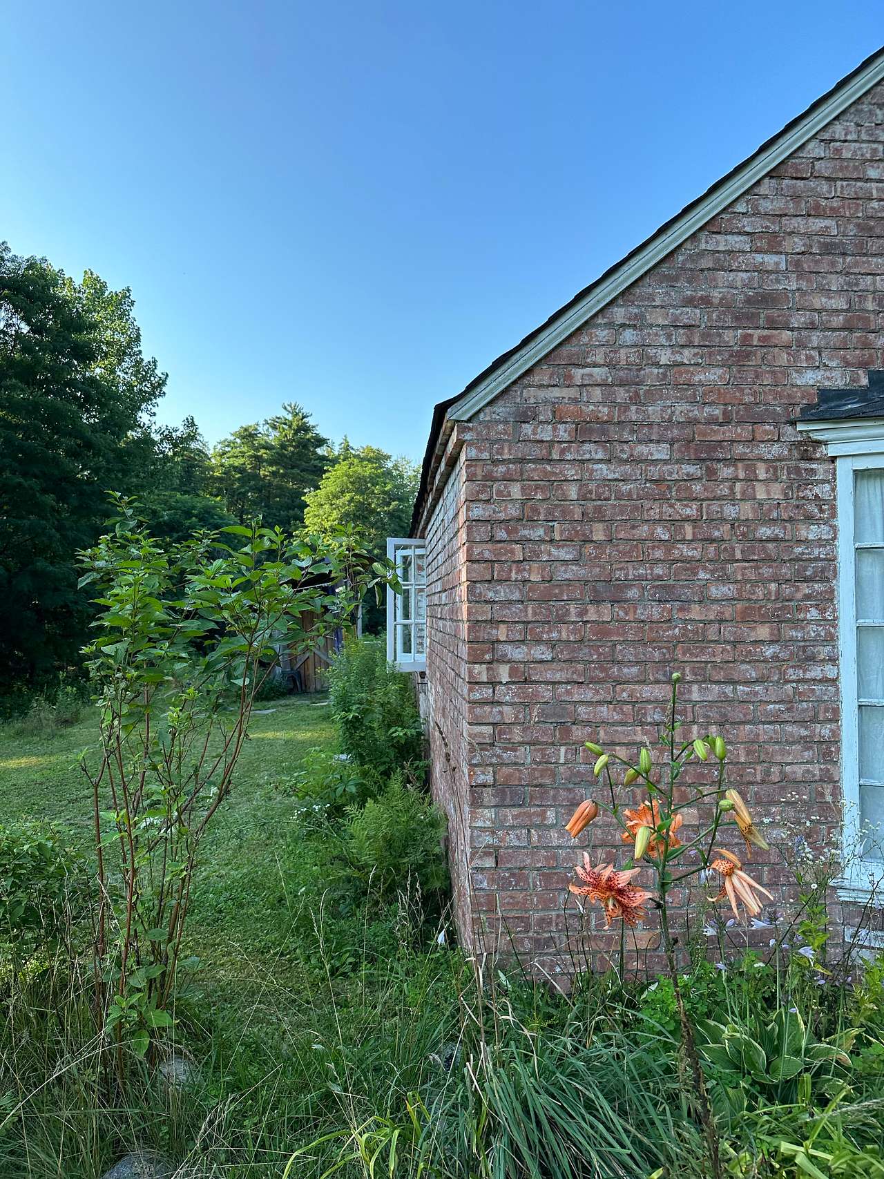 The Little Witch Cottage