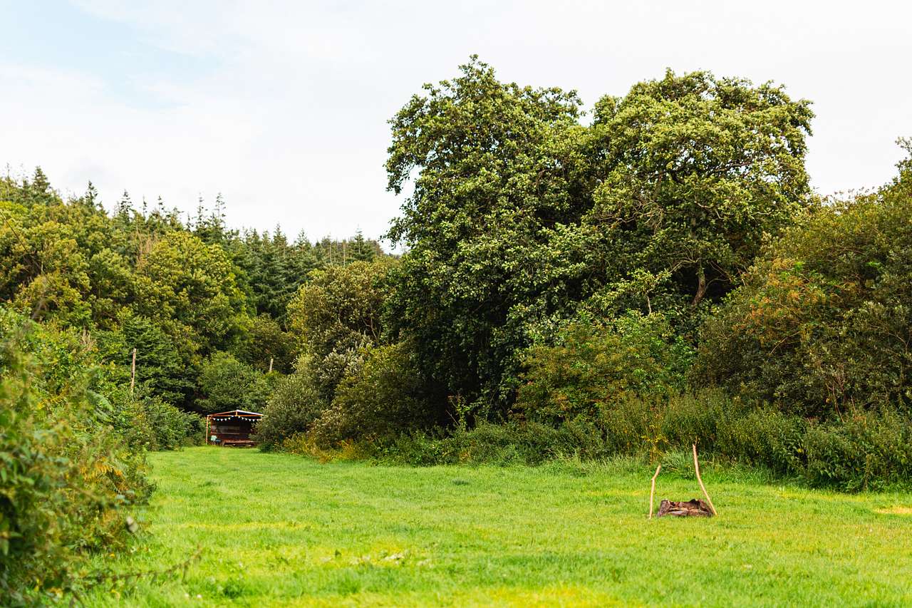 Looking down the camp field towards the end where there is a small shelter structure