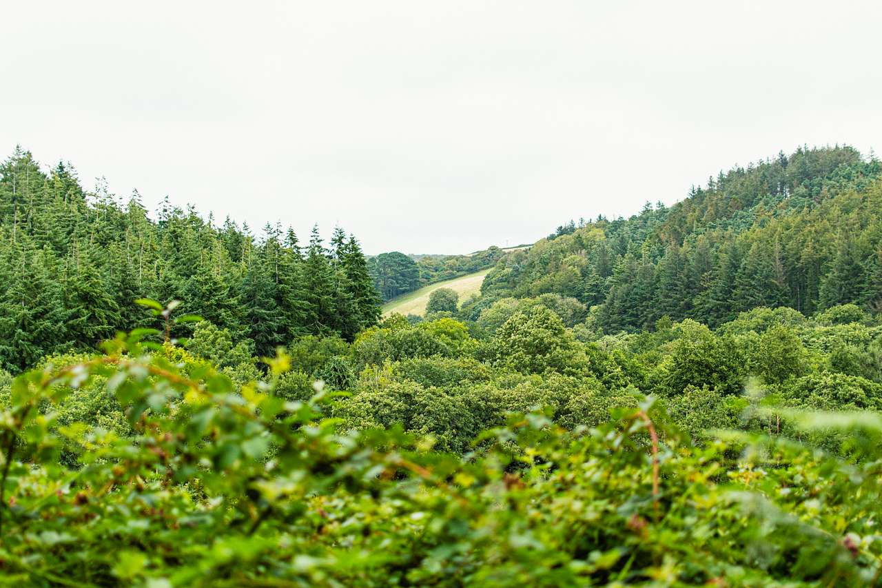 Fantastic views from the top of the hill above camp