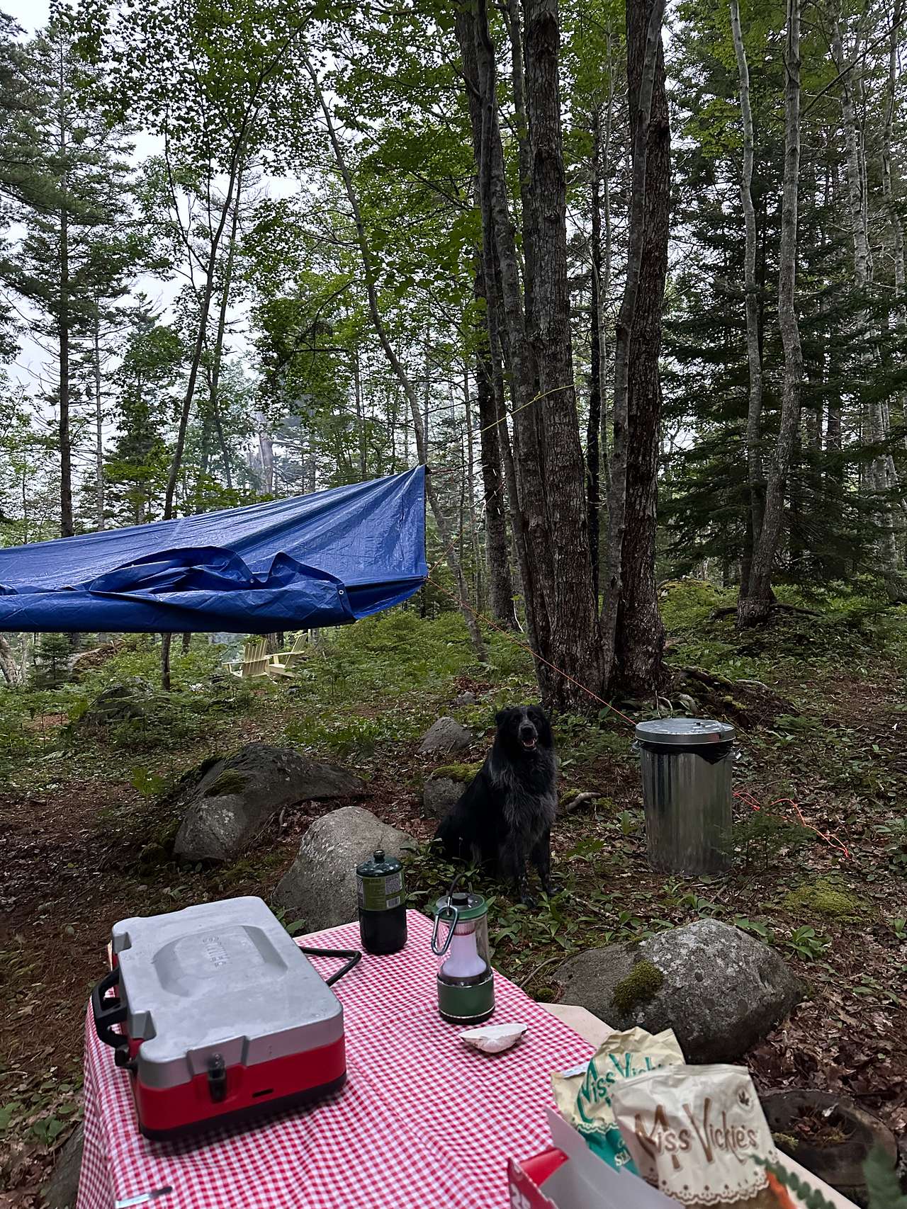 They provide a garbage can, recycling bag and bucket (we used to collect water to put out our fire)