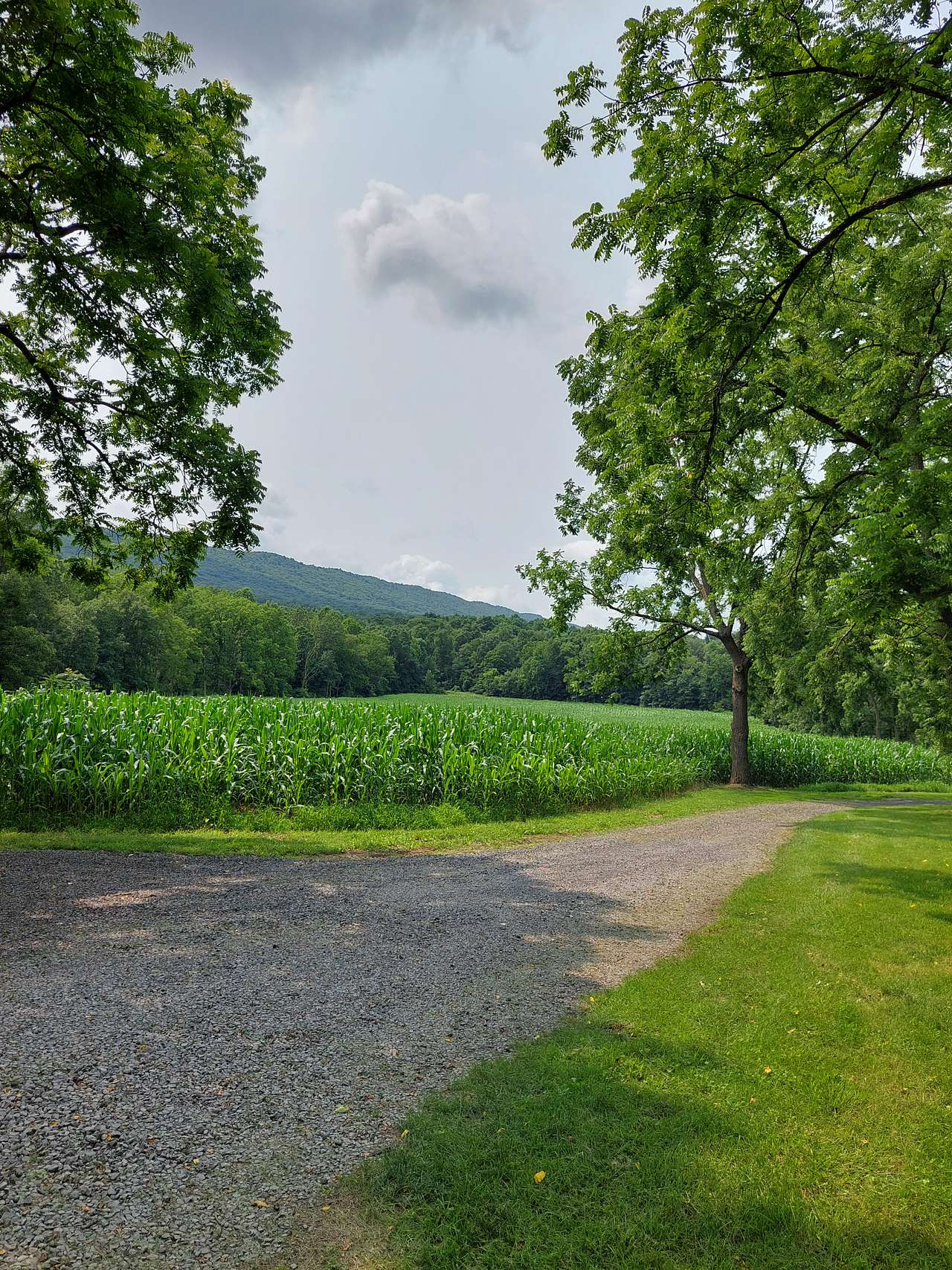 Davis Farm
