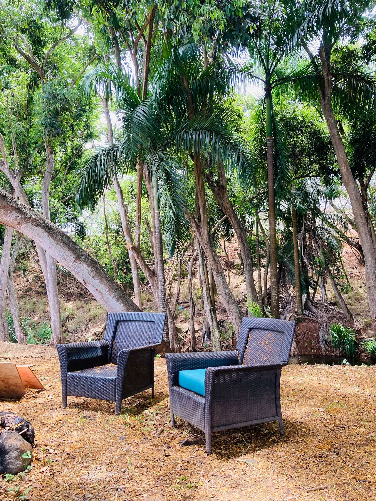 Experience Outdoor Life