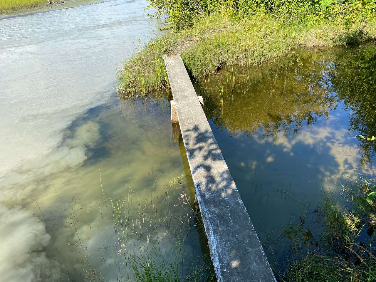 Haines River Camp