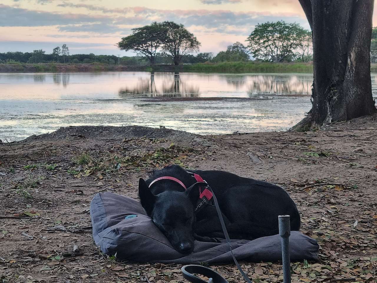 Mount Surround Campground