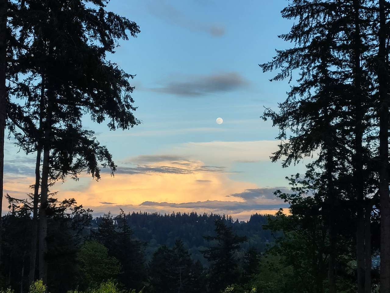 View looking east from tent