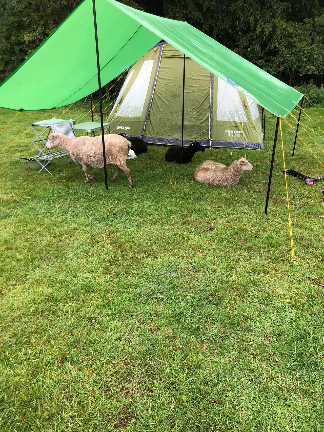 Daisy May’s Farm