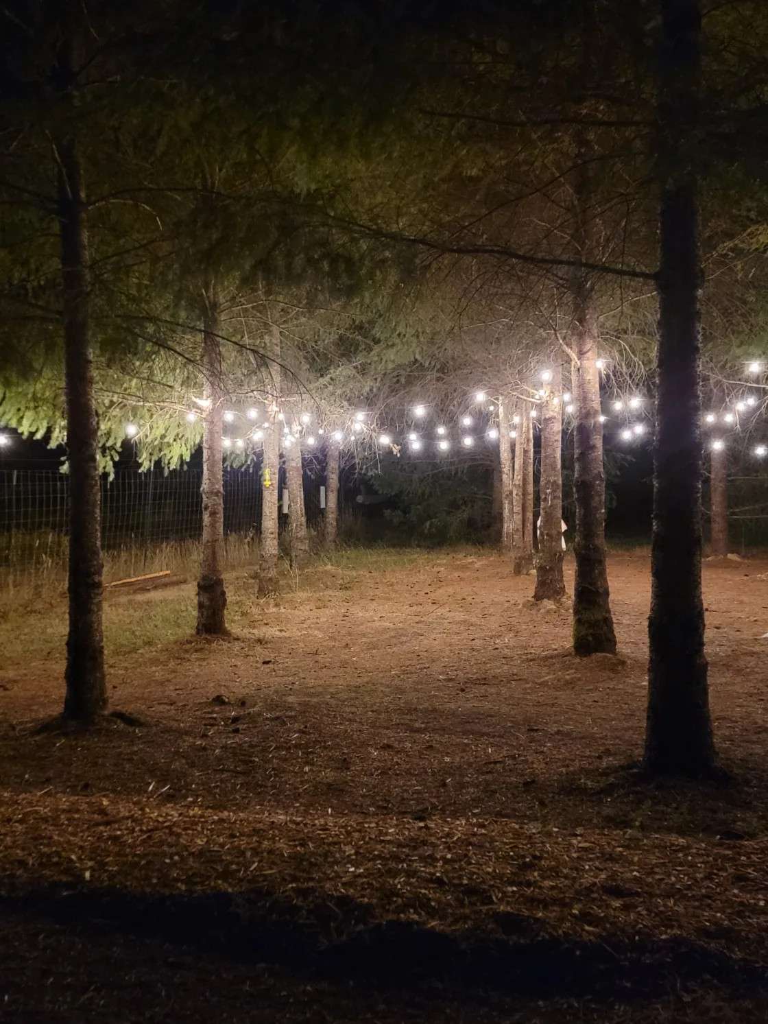 Fernwood Retreat At Bloom Hill