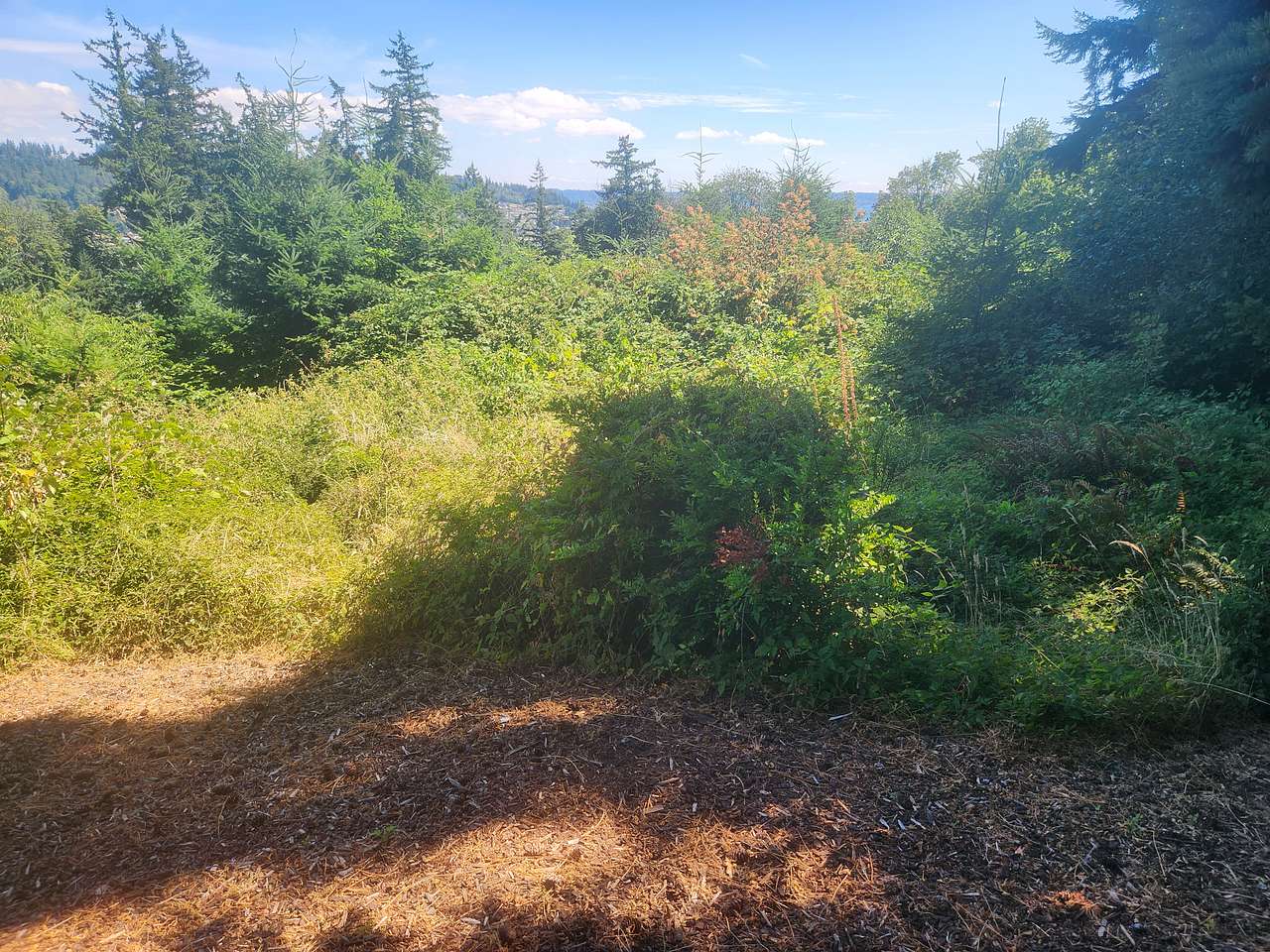 A Taste of Whidbey