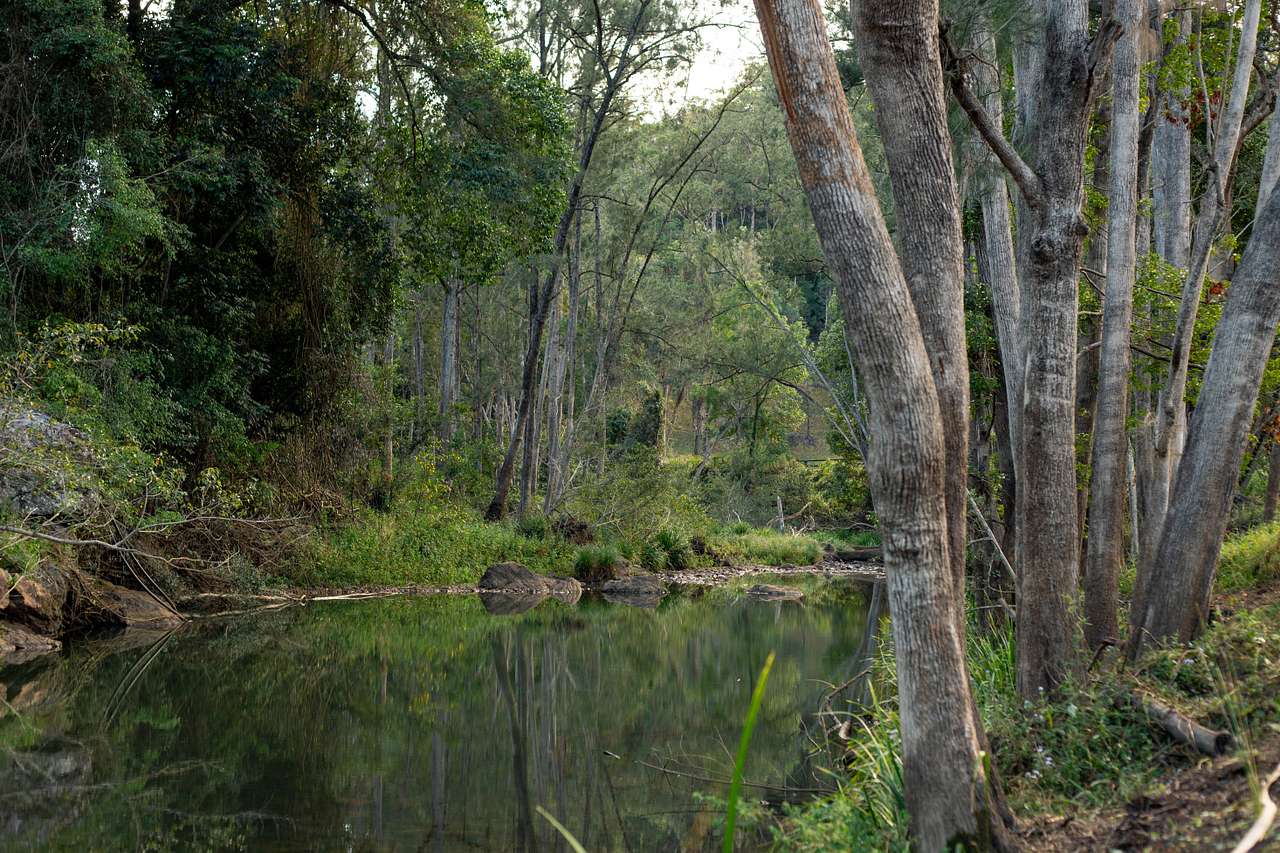 Creek