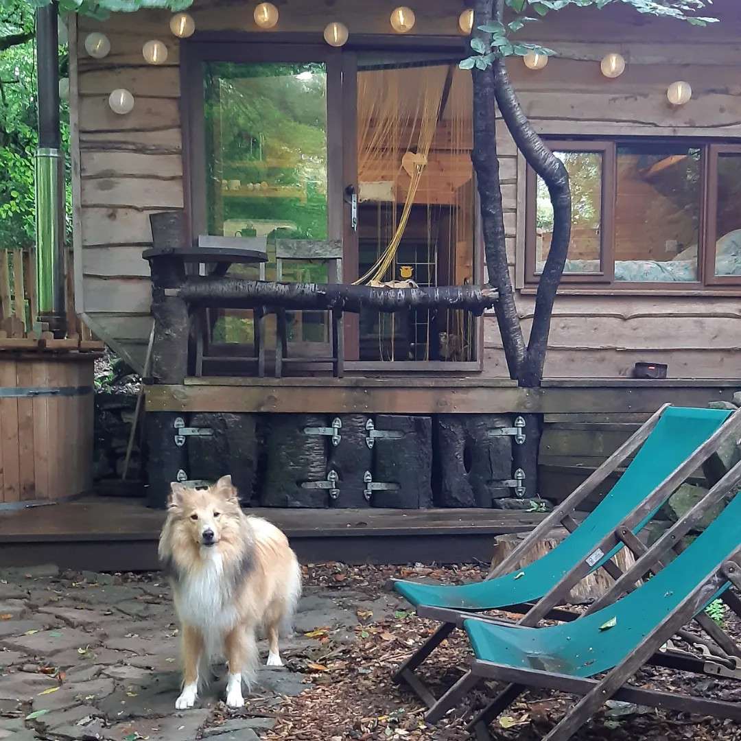 Hideaway Hut, Camping cabin.