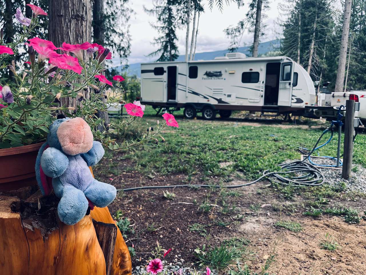 Campsite 
