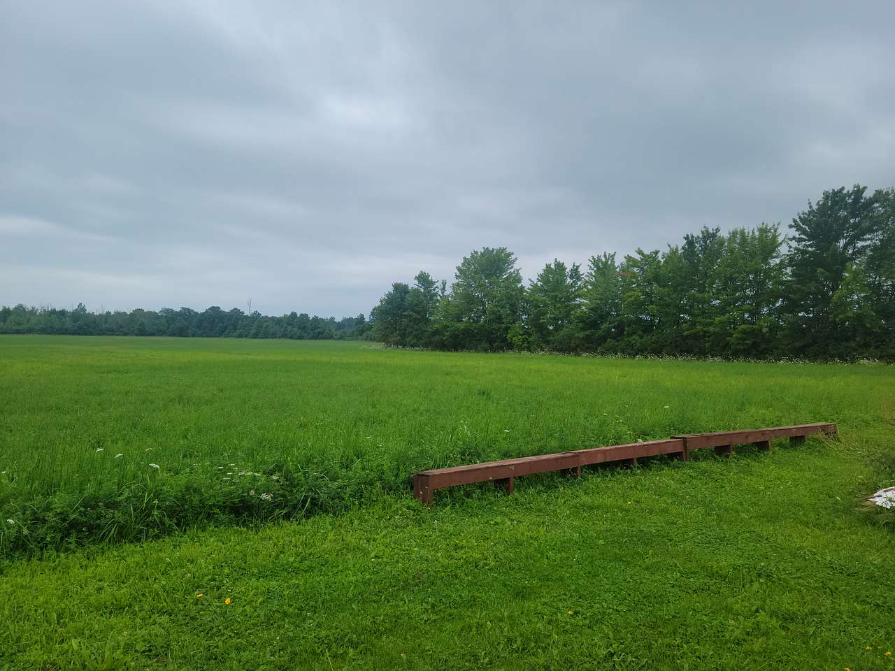Camp Christine