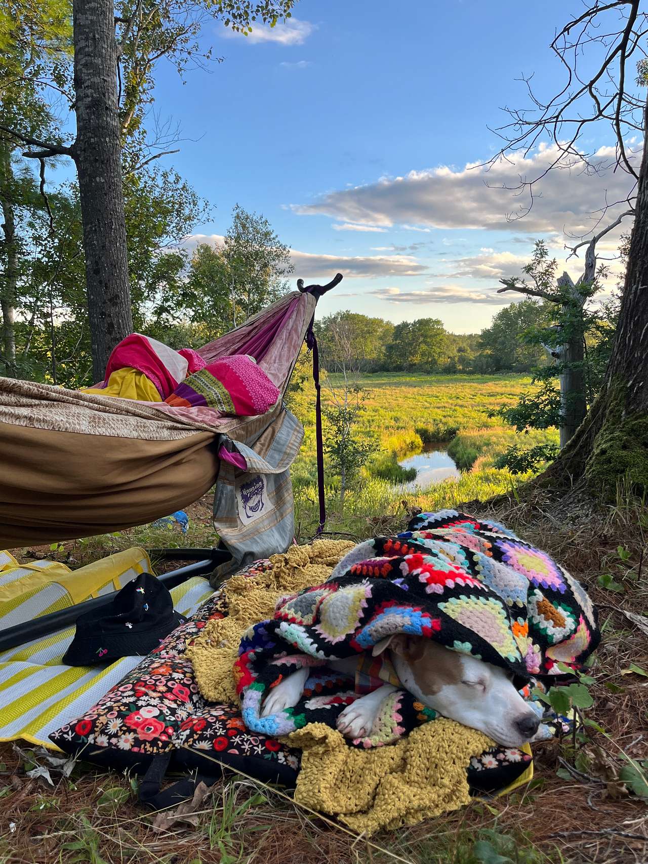 4 Oaks Park