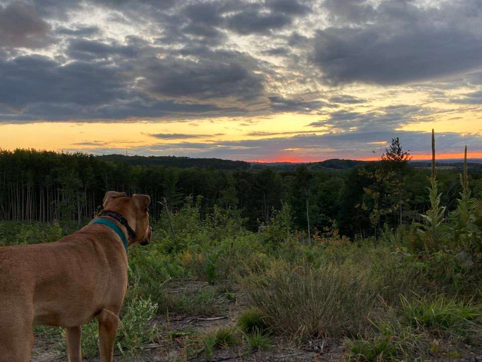 Sunset view from a hill near the property