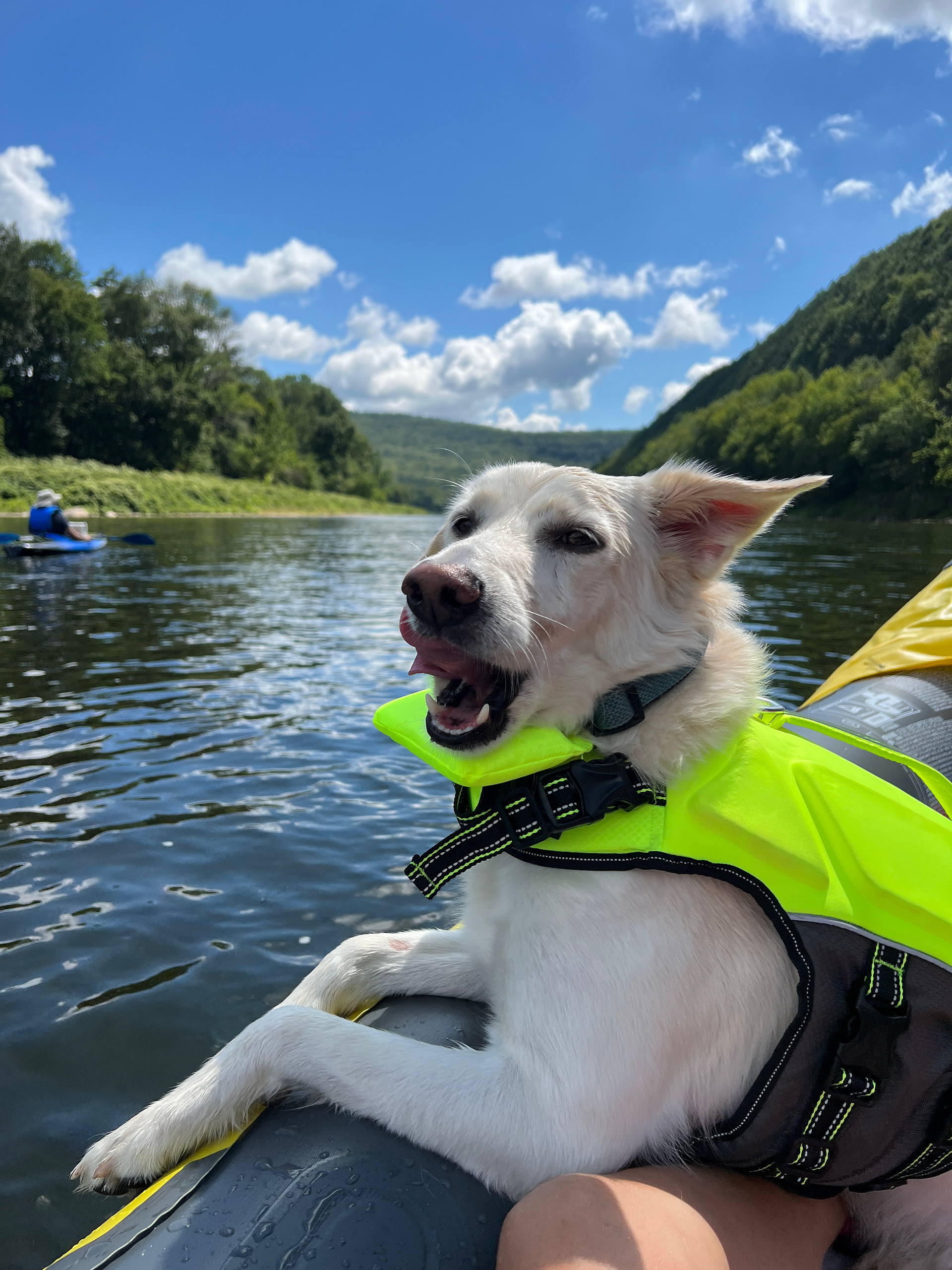 Kayaking on the river 