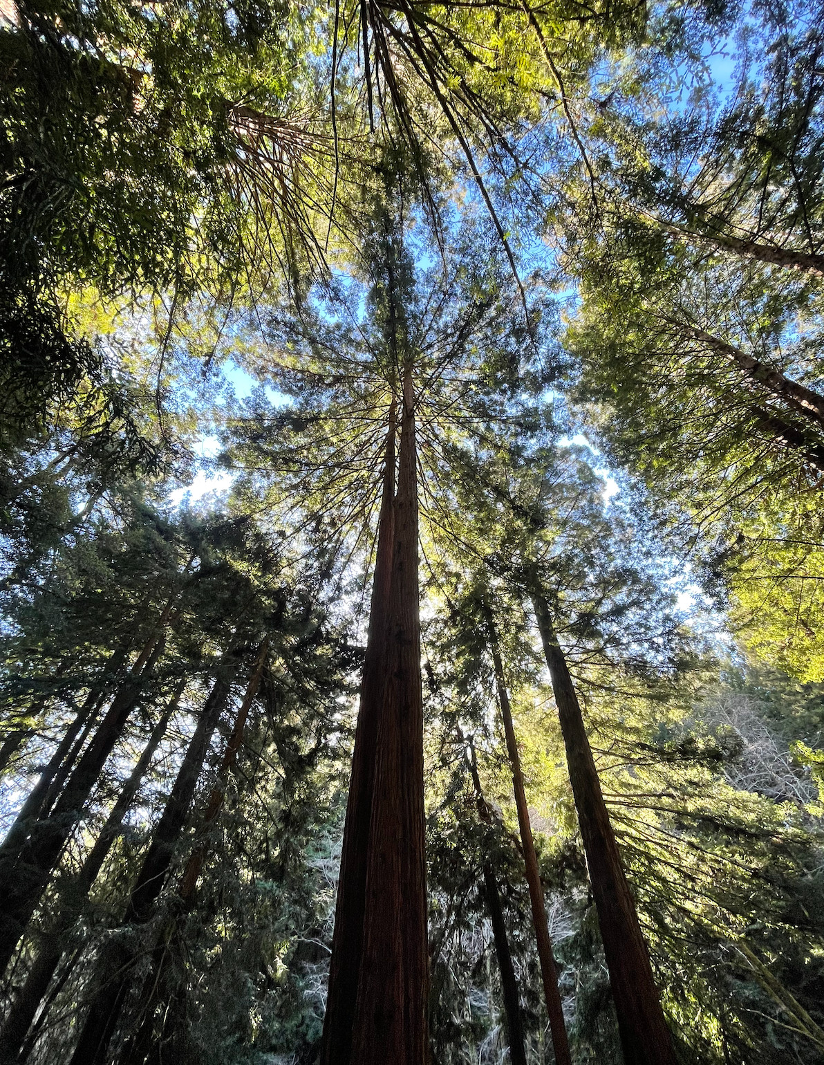 Mendocino Coast RV / Campers