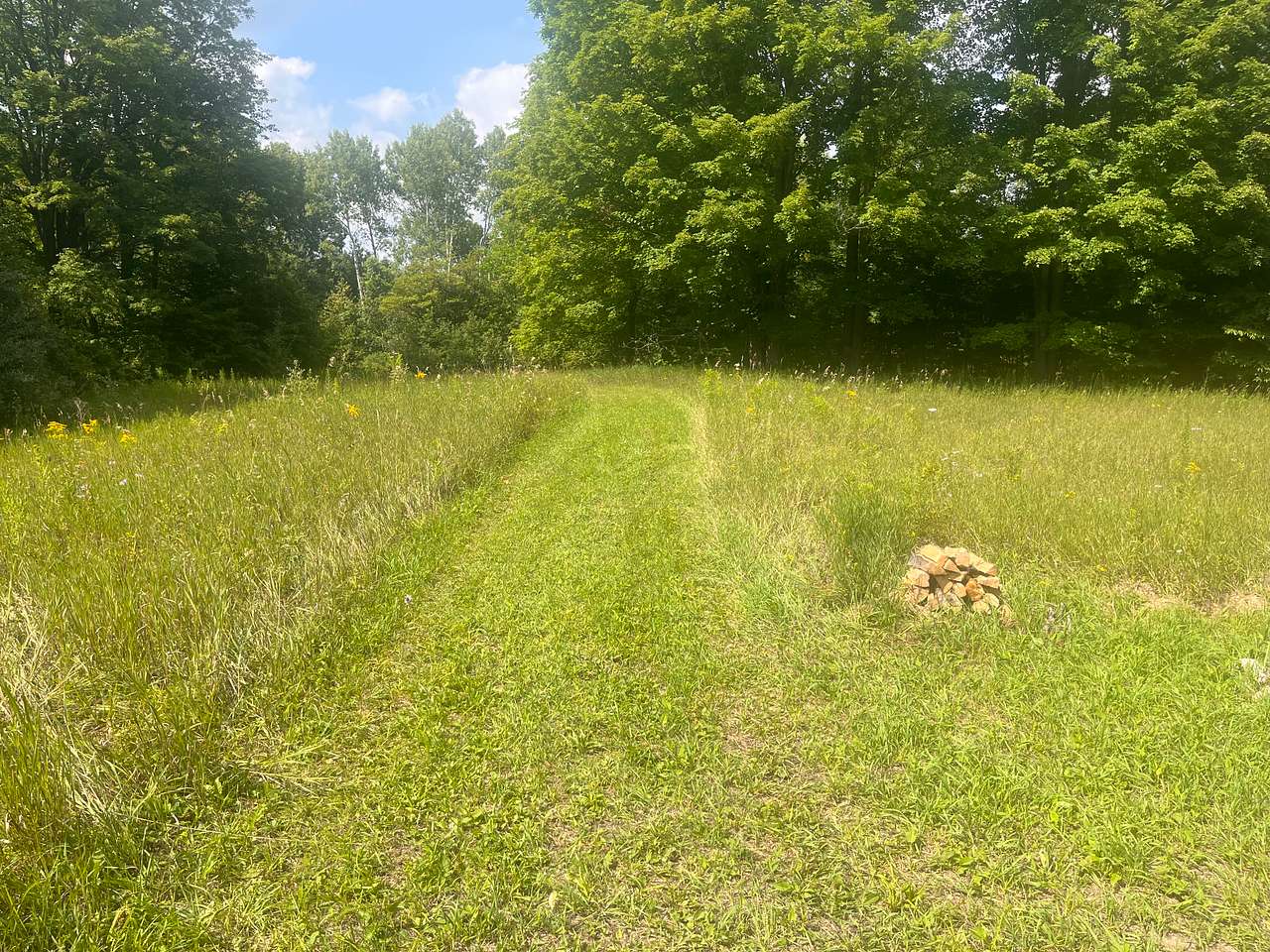 Rains Ranch