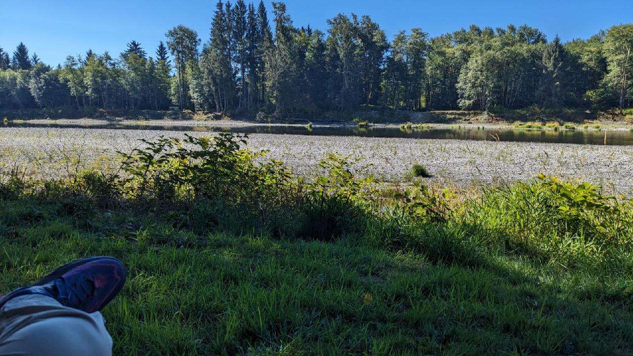Shangri-la Quileute River.