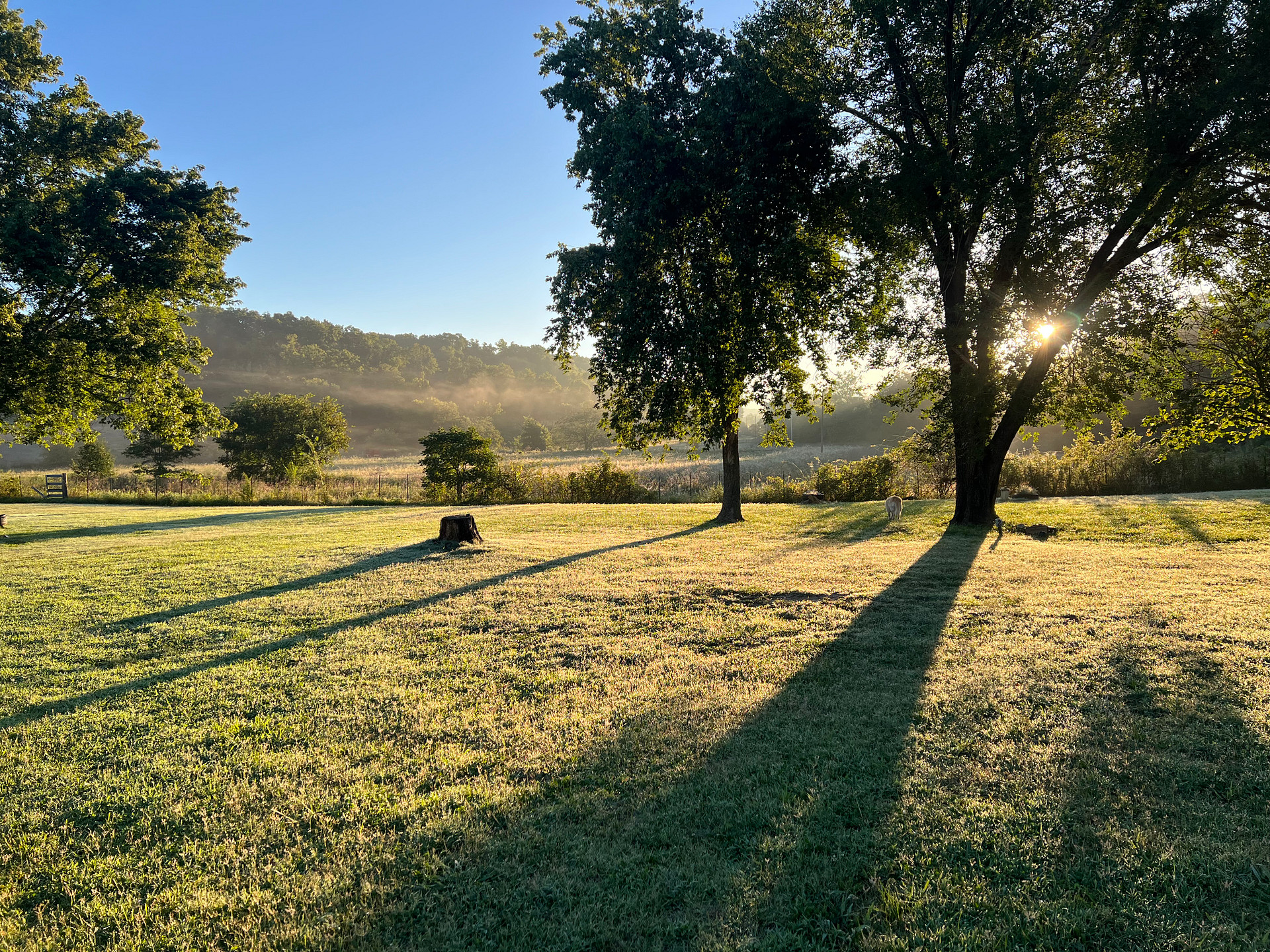 Bentonville Bike Camp