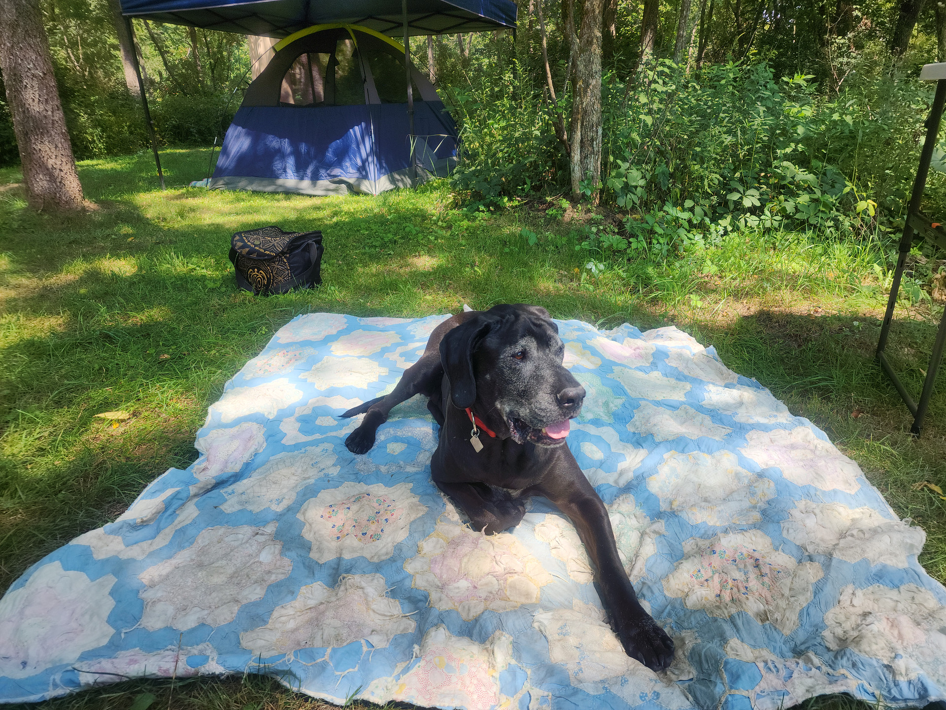 Tent camping on secluded 40 acres.