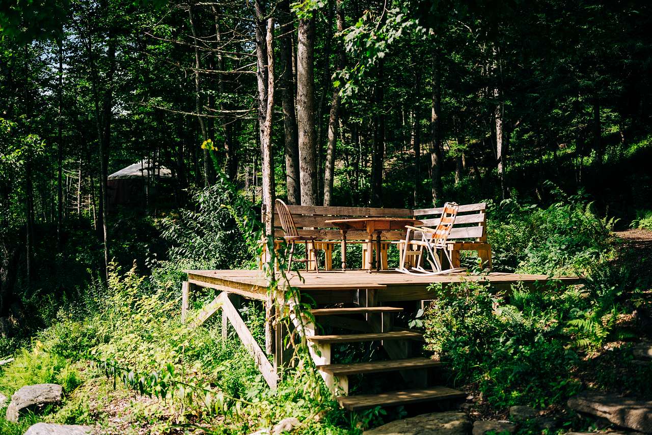Fern Hollow
