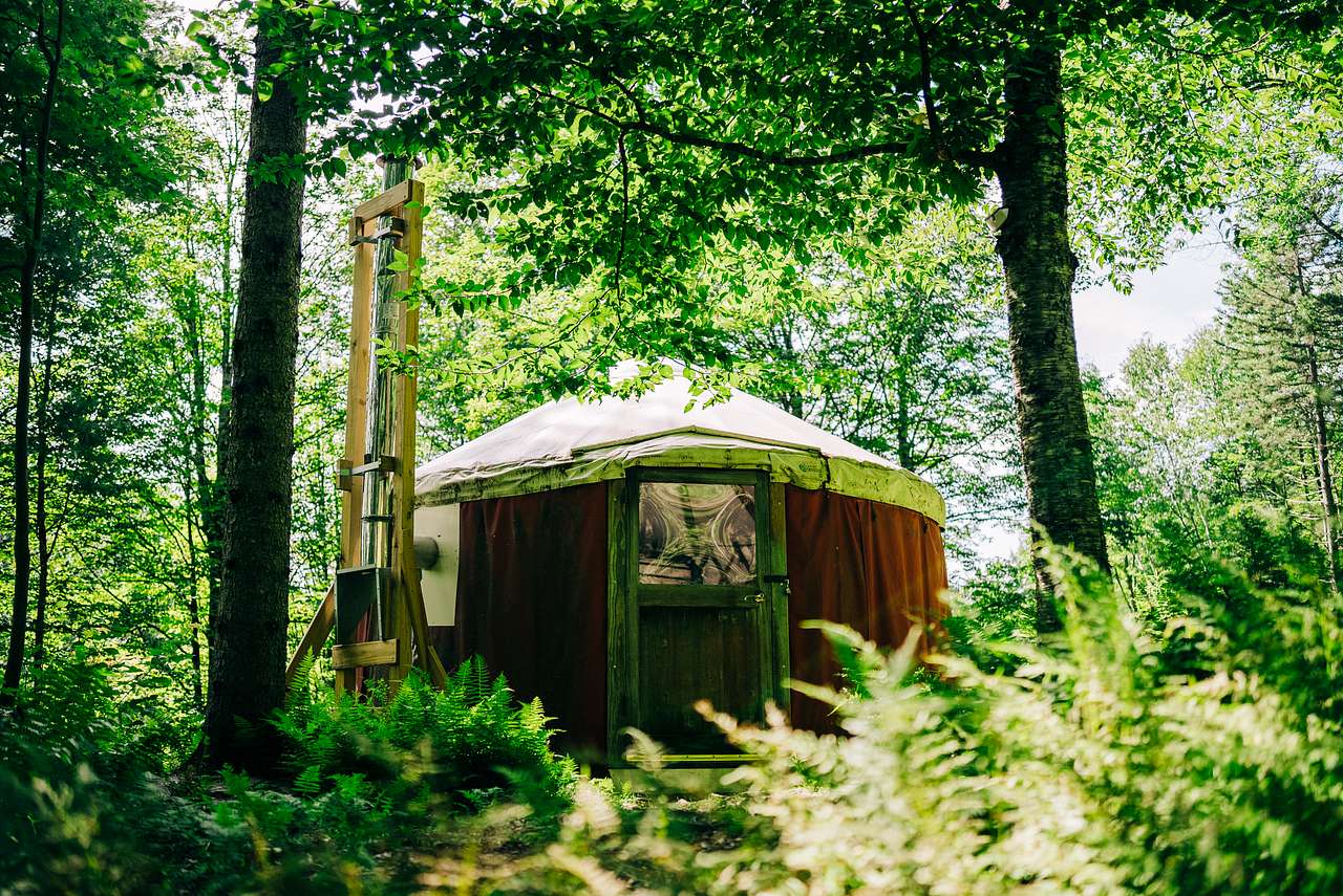 Fern Hollow