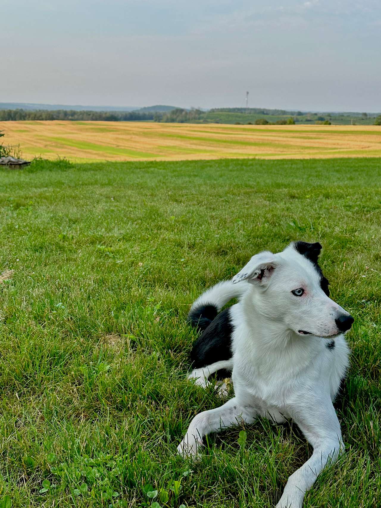 WILLOWJAYS (Farm with Views)