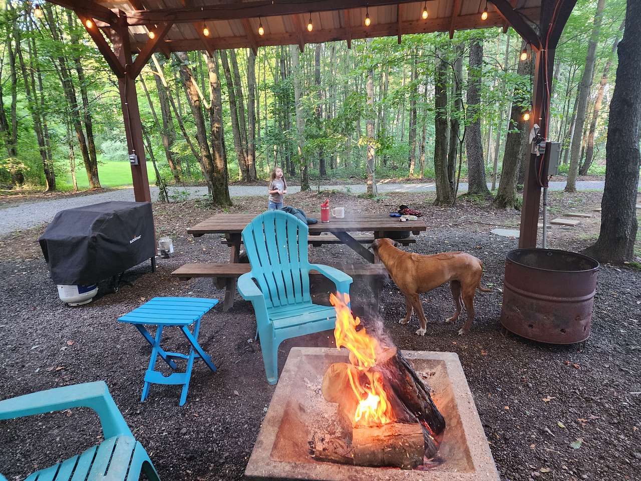 Tiny Home on the Hill