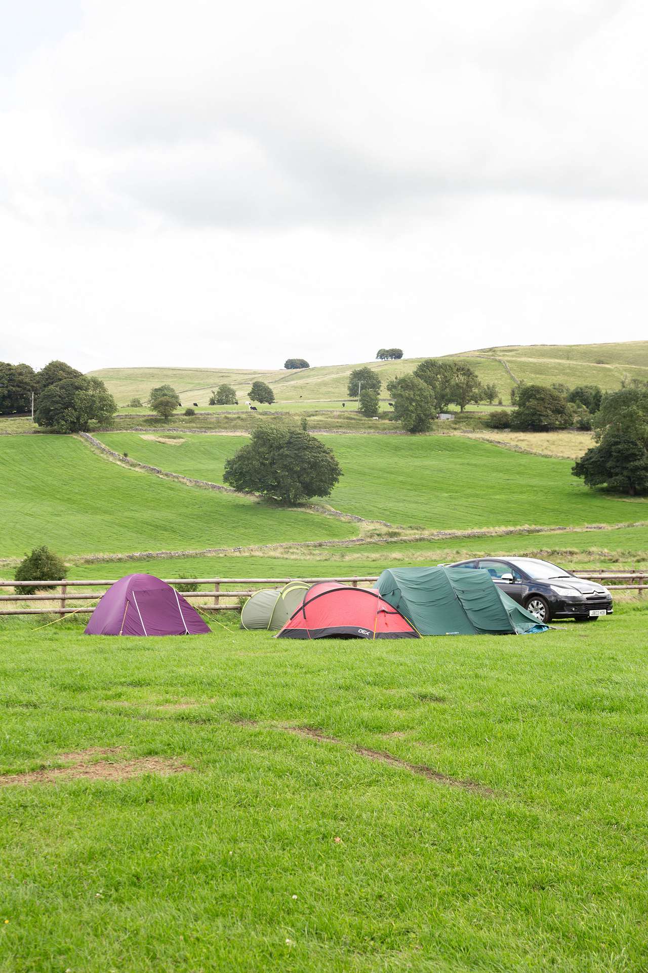 Tent pitches